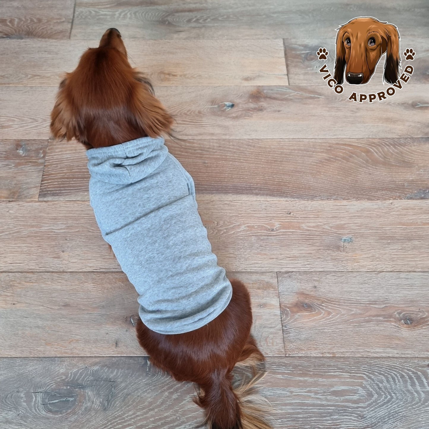 CozyPup Hoodie