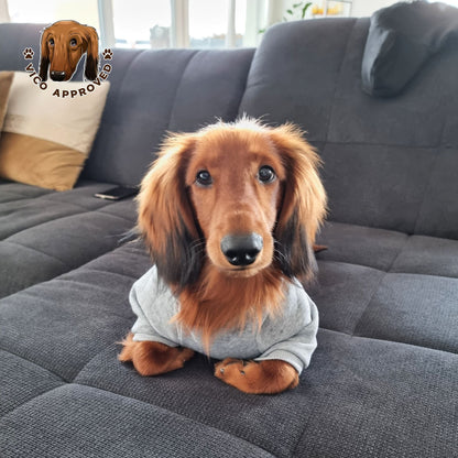 CozyPup Hoodie
