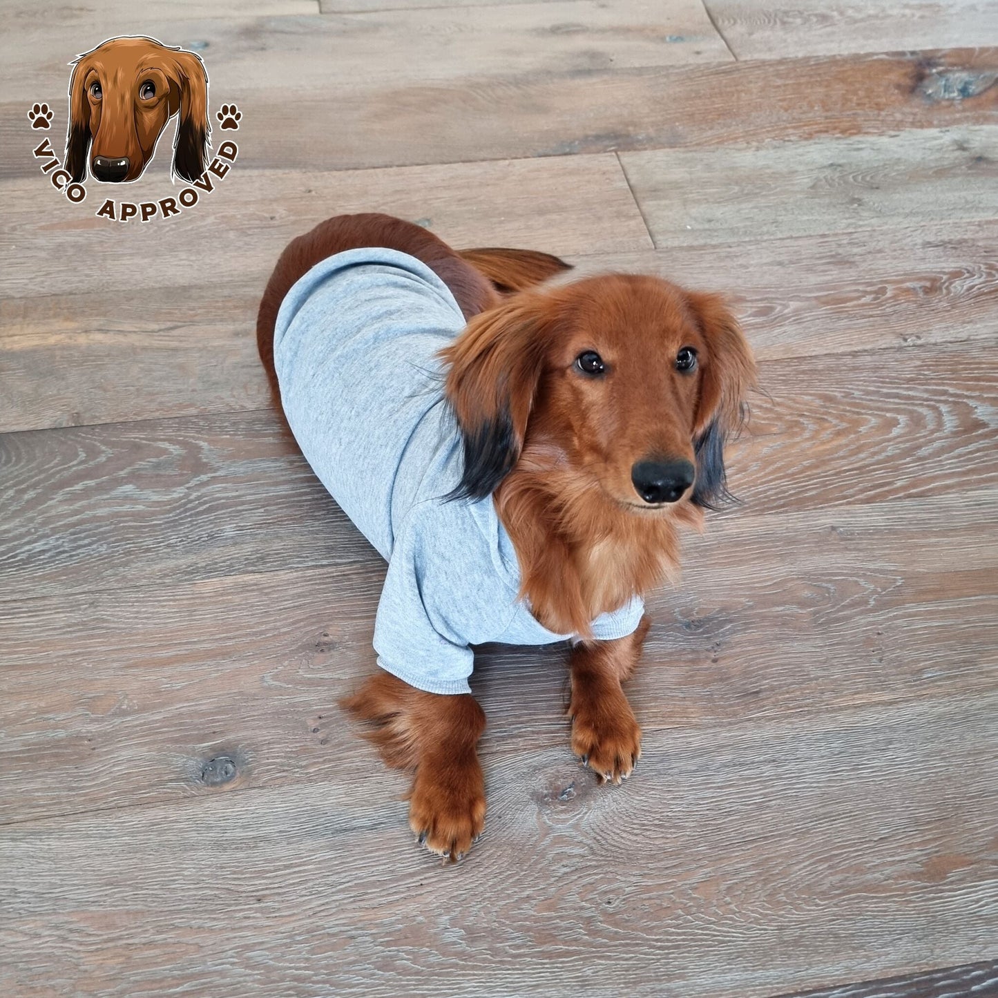 CozyPup Hoodie