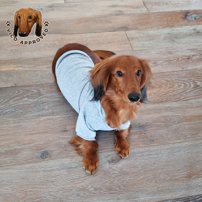 CozyPup Hoodie