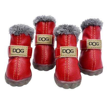 Dog Booties