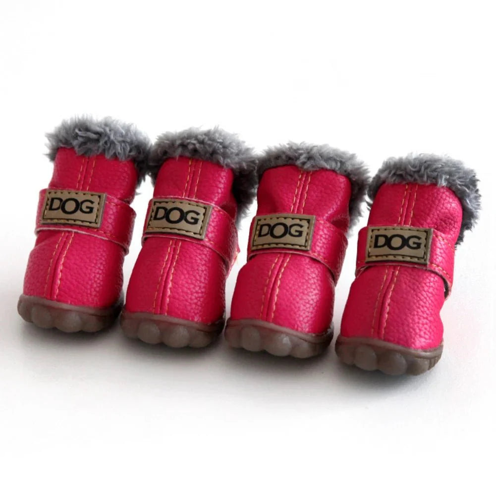 Dog Booties