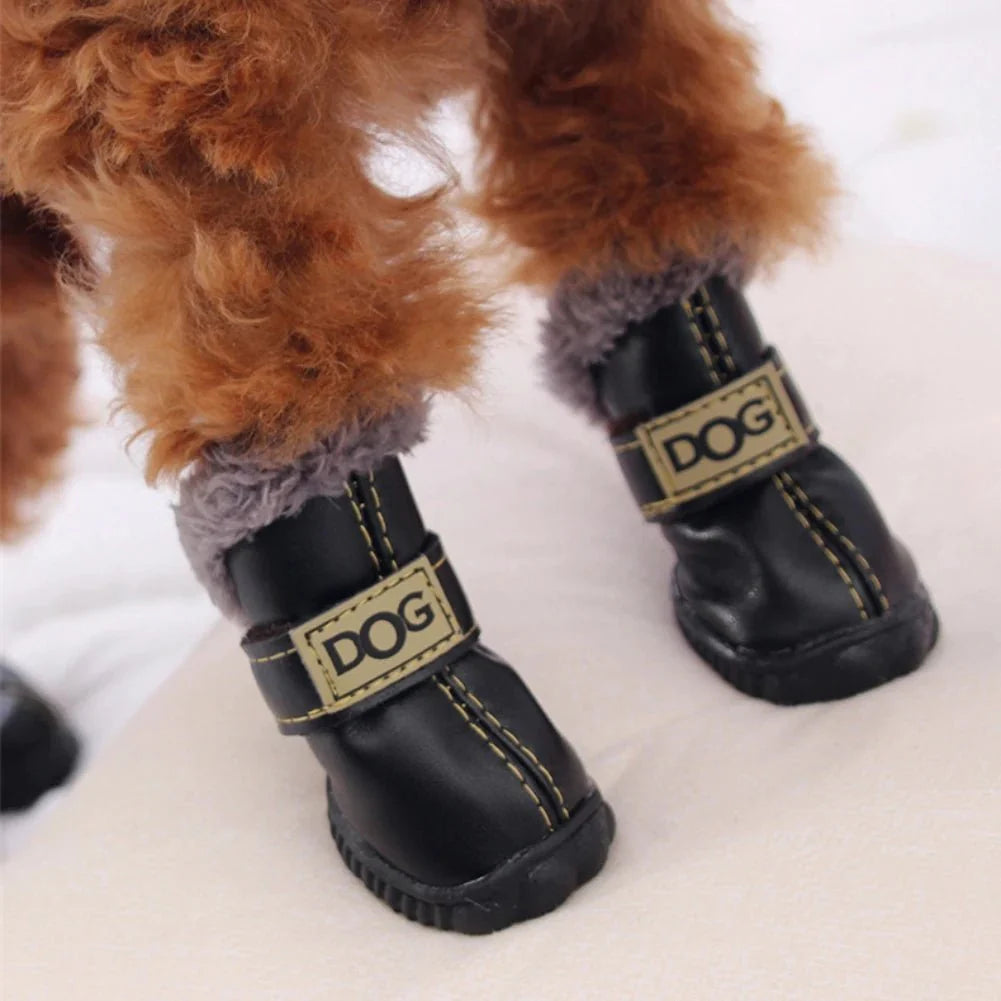 Dog Booties