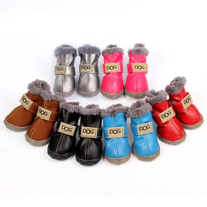 Dog Booties