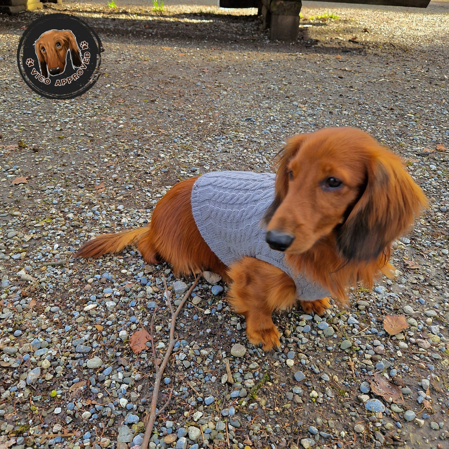 Doggy Strickjäckchen