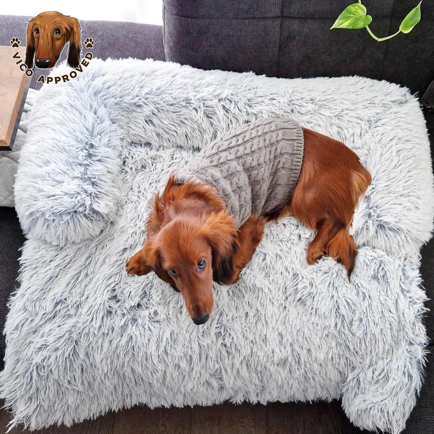 Doggy Strickjäckchen