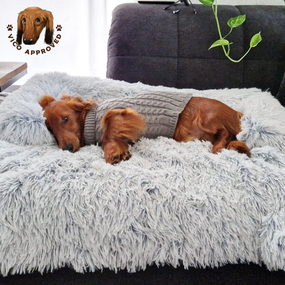 Doggy Strickjäckchen