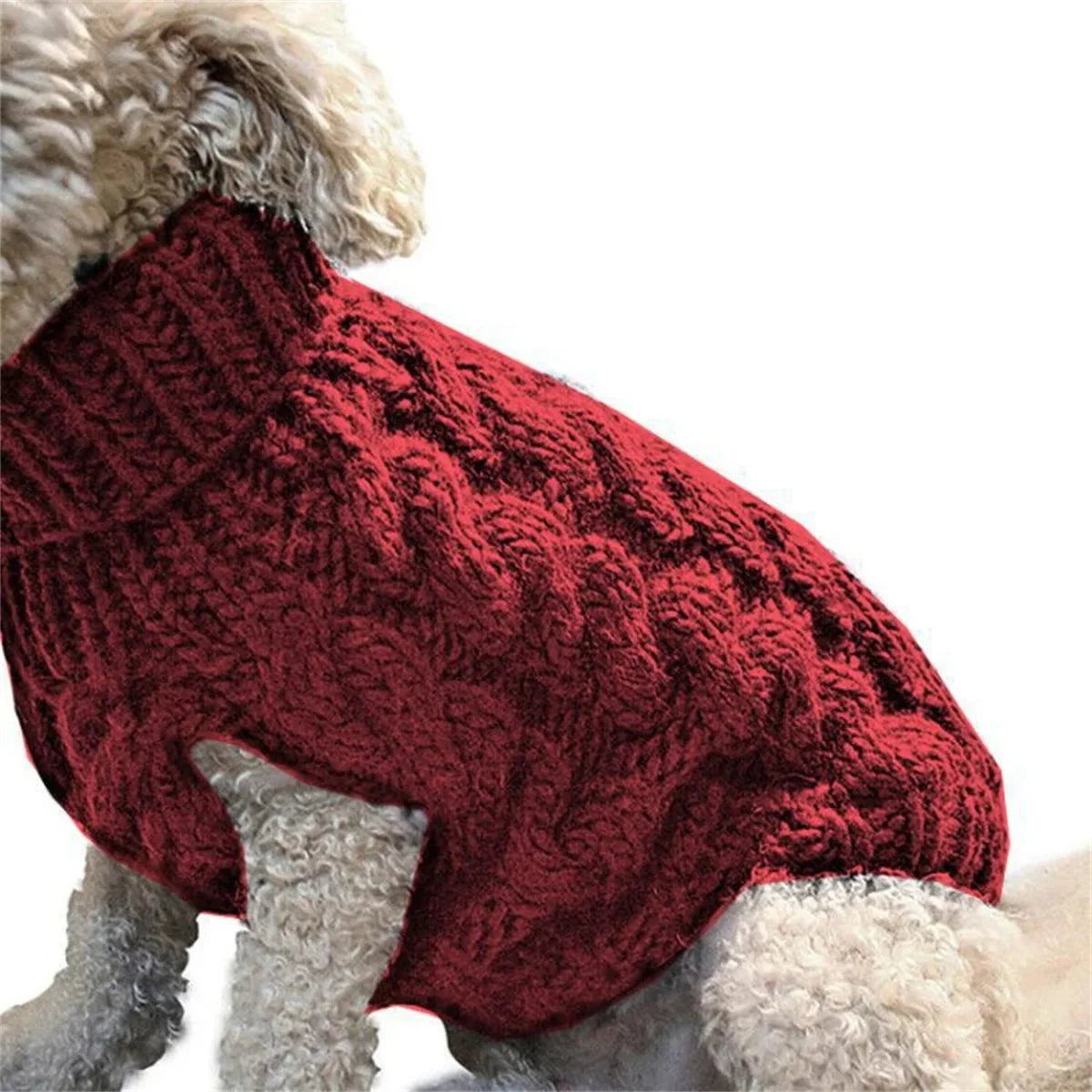 Doggy Strickjäckchen