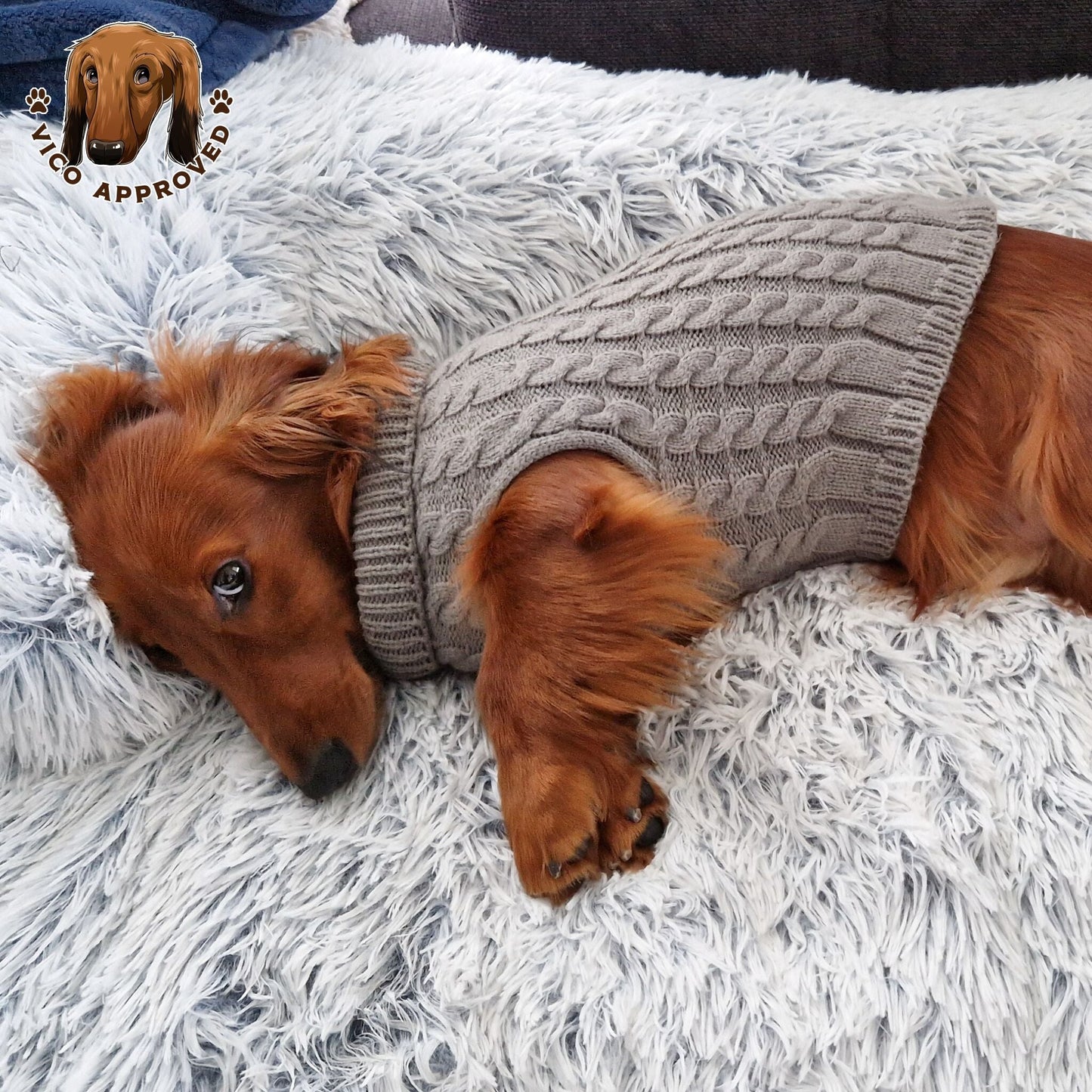 Doggy Strickjäckchen