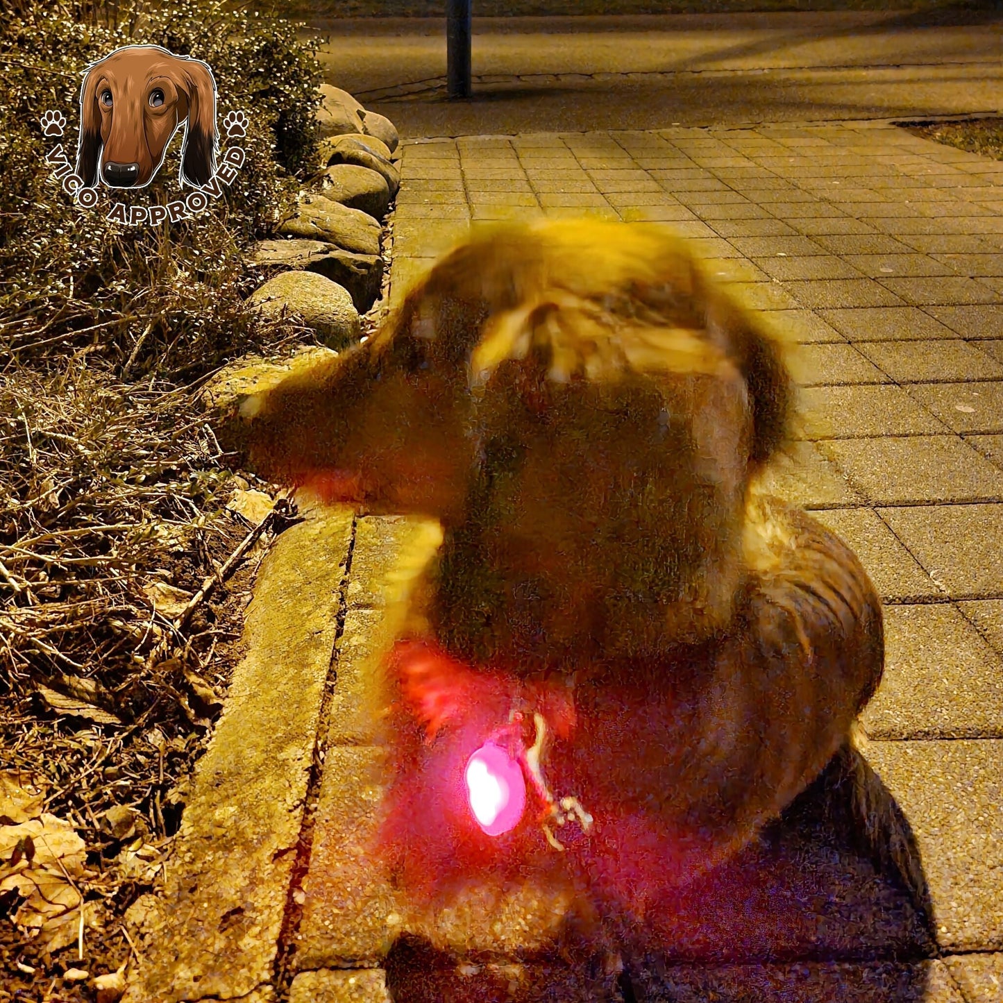 GlowFur!