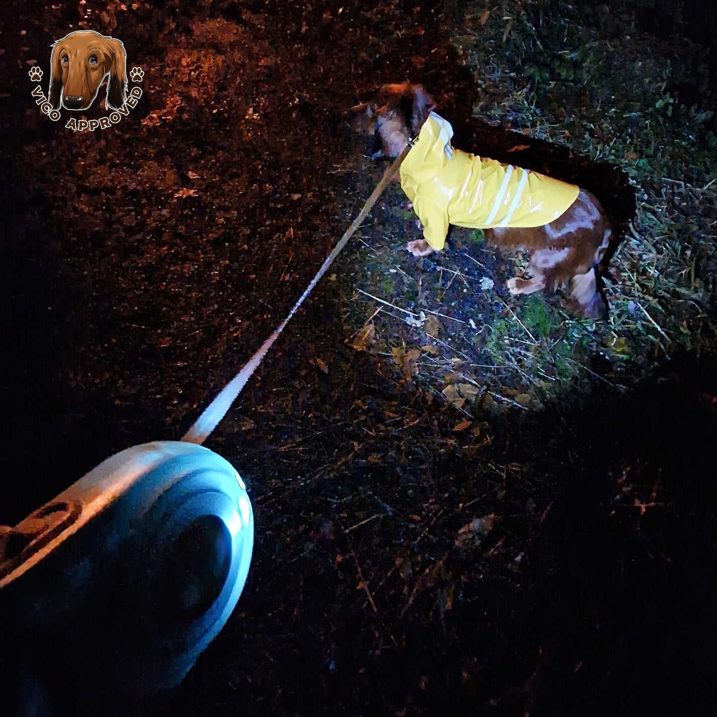 LED GlowDog Flexileine