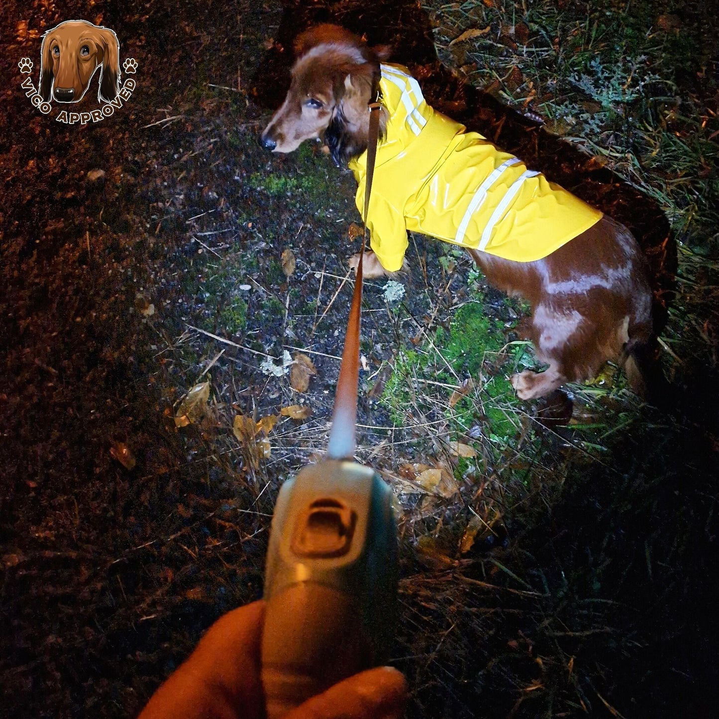 LED GlowDog Flexileine