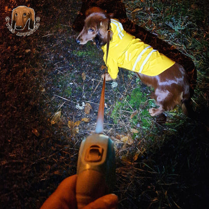 LED GlowDog Flexileine