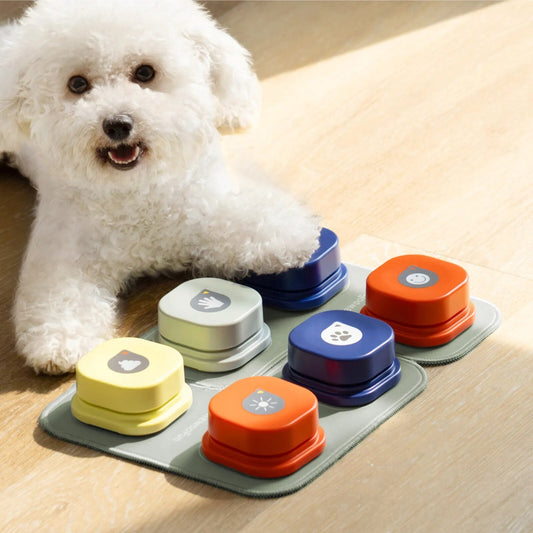 PawBell - Klingel-Glocken fürs Hundetraining