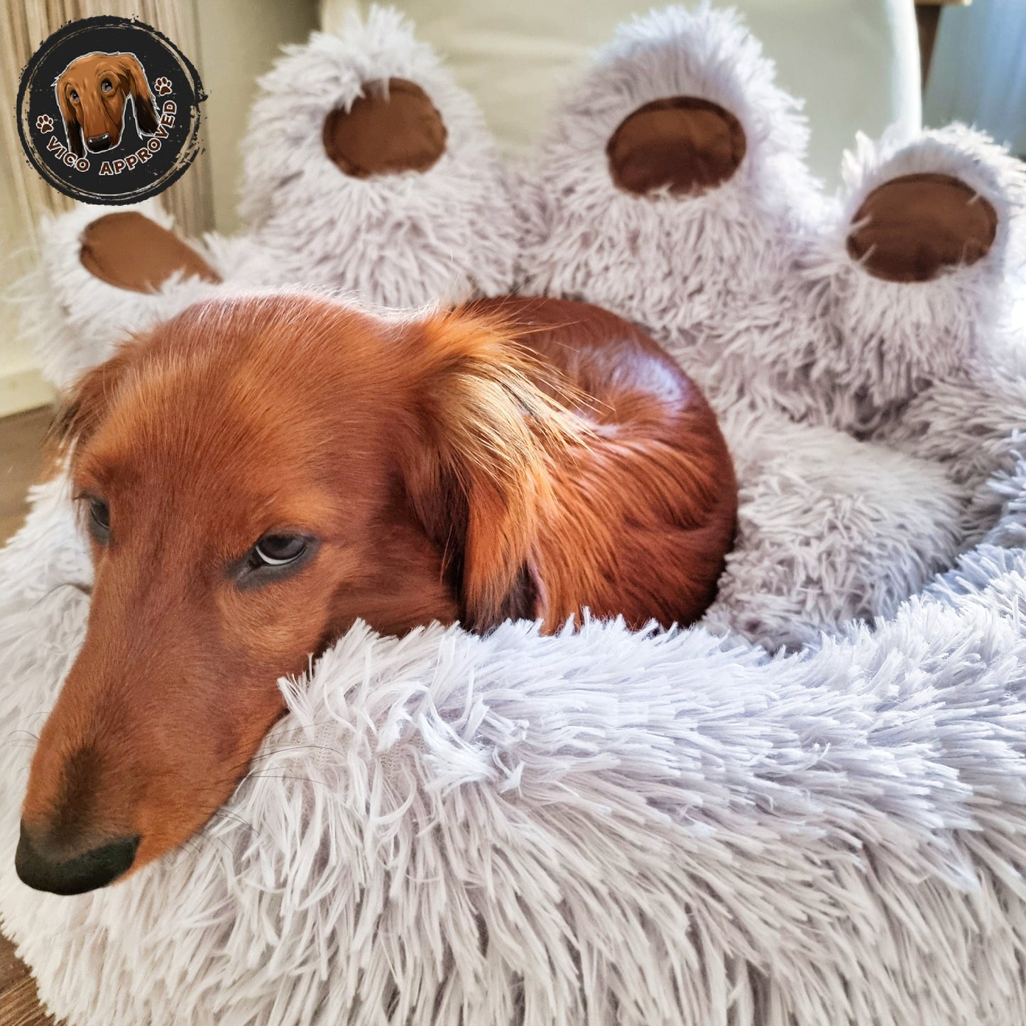 Pawfect Hundesofa