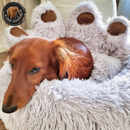 Pawfect Hundesofa