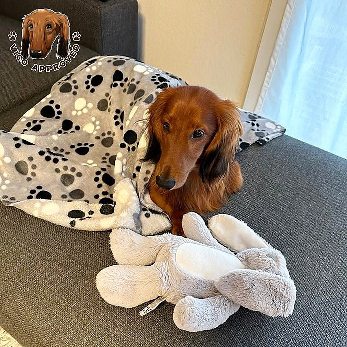 Pawfectly Hundedecke