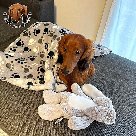 Pawfectly Hundedecke