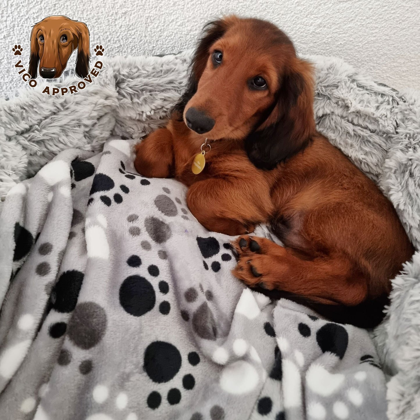 Pawfectly Hundedecke