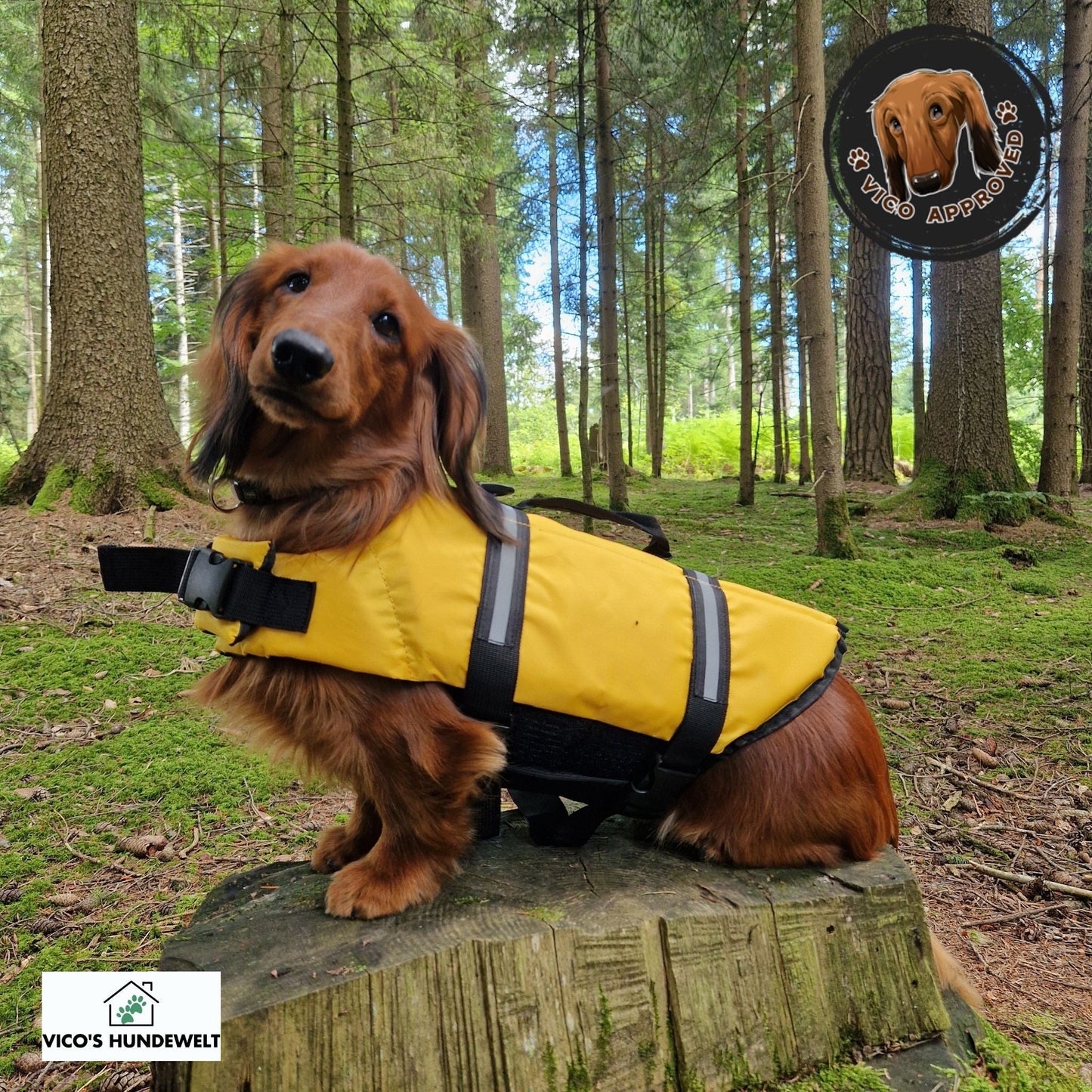 PawGuard Schwimmweste
