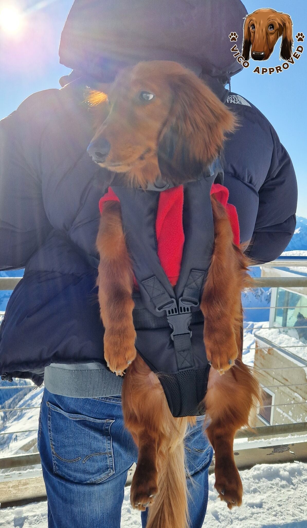 PawPal Voyage Veste