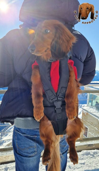 PawPal Voyage Veste
