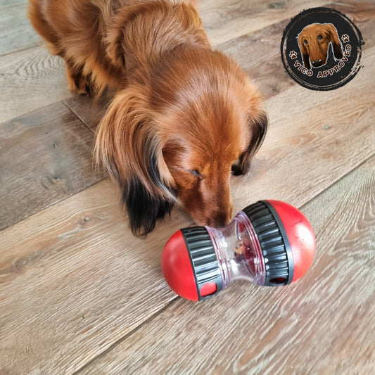 Pawzzle Treats - Die Herausforderung für schlaue Hunde