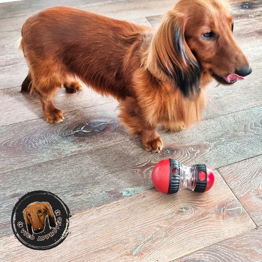 Pawzzle Treats - Die Herausforderung für schlaue Hunde