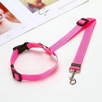 PetSafe Reiseleine