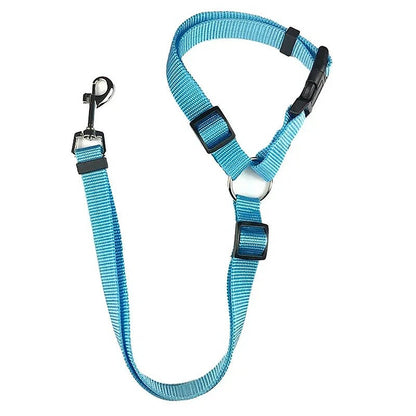 PetSafe Reiseleine