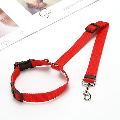 PetSafe Reiseleine
