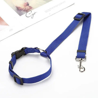 PetSafe Reiseleine