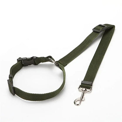 PetSafe Reiseleine