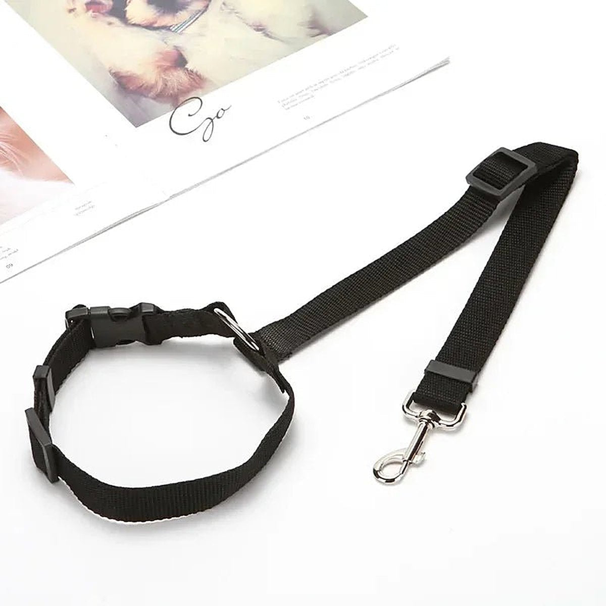 PetSafe Reiseleine