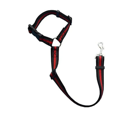 PetSafe Reiseleine