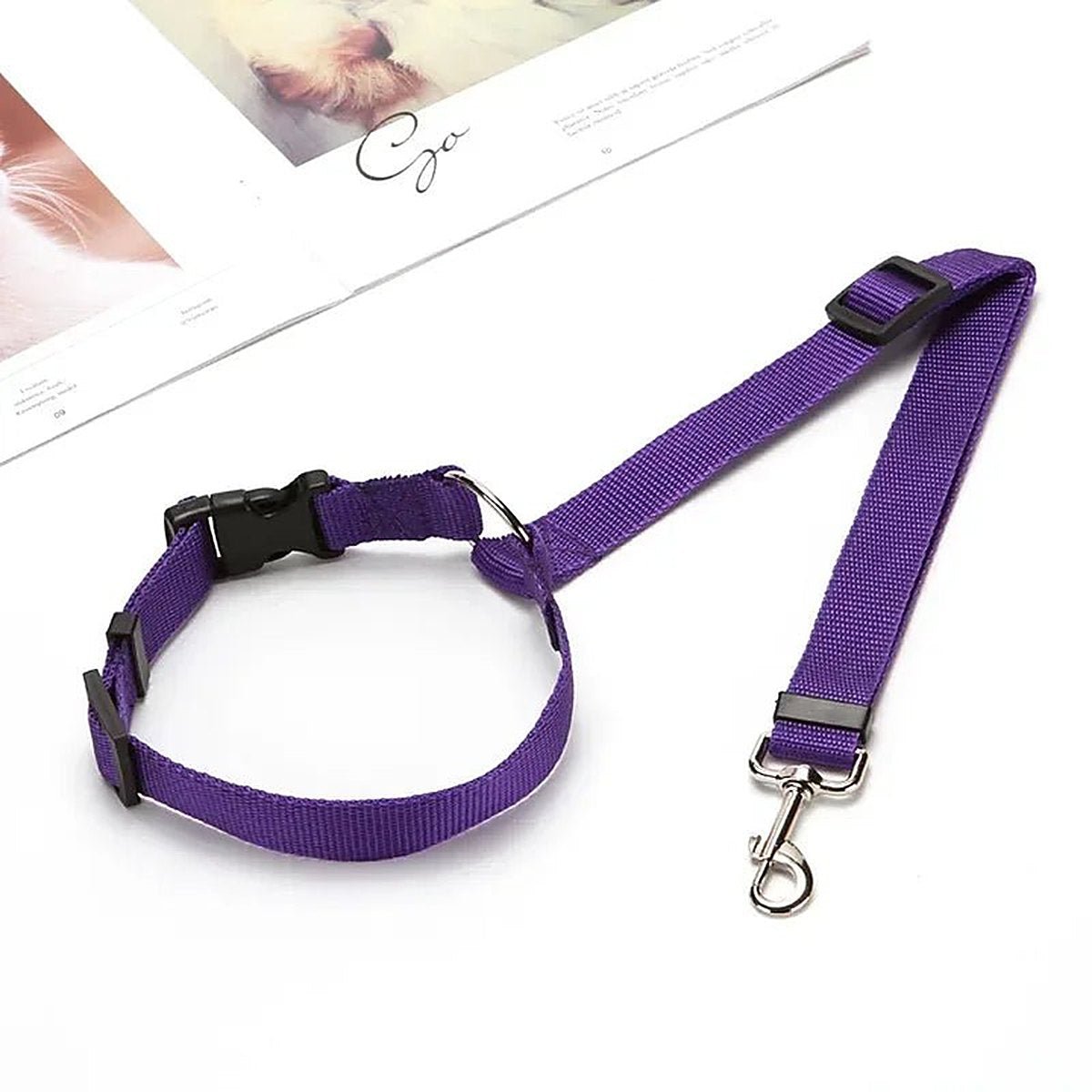 PetSafe Reiseleine