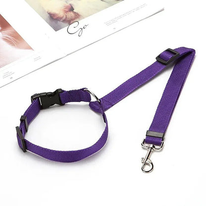 PetSafe Reiseleine