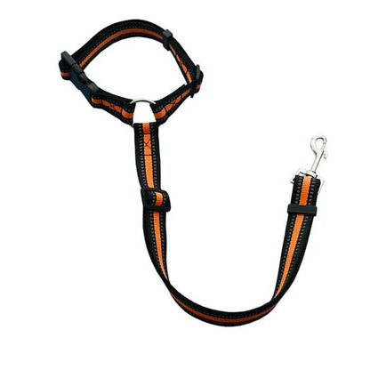PetSafe Reiseleine