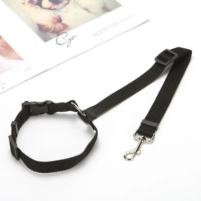 PetSafe Reiseleine