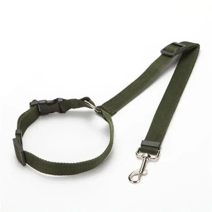 PetSafe Reiseleine