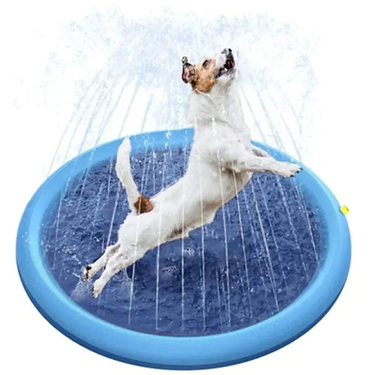 Pfoten Plantscher - Hundesprinkler