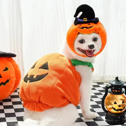 PumpkinPaws - Kürbiskostüm für Hunde