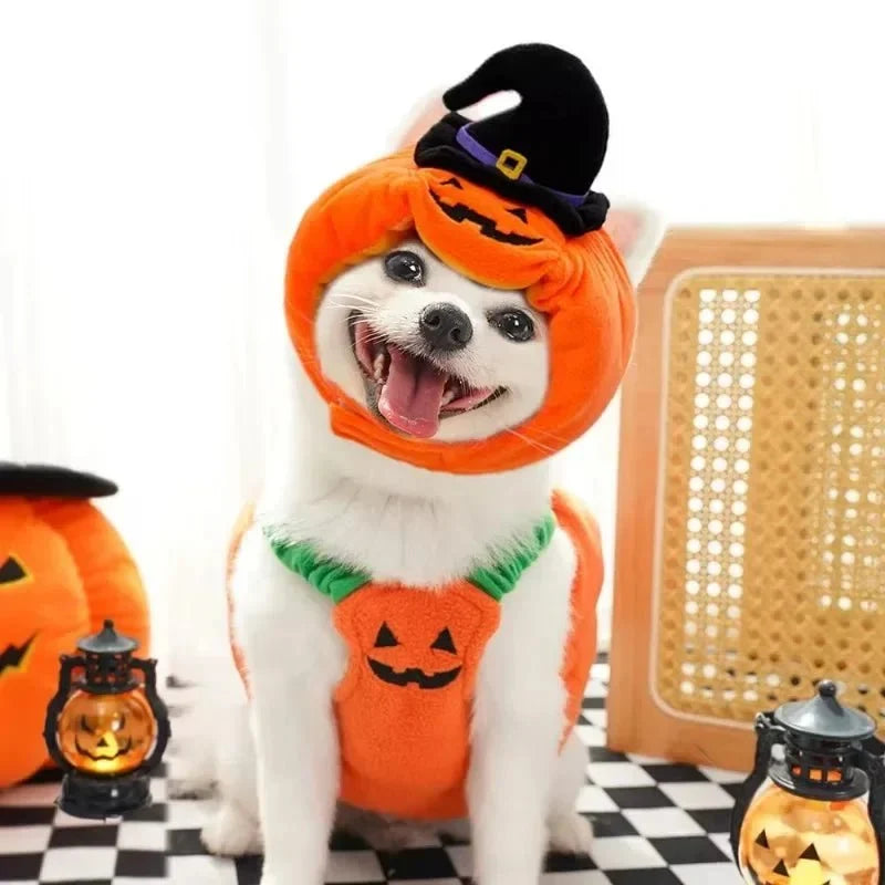 PumpkinPaws - Kürbiskostüm für Hunde