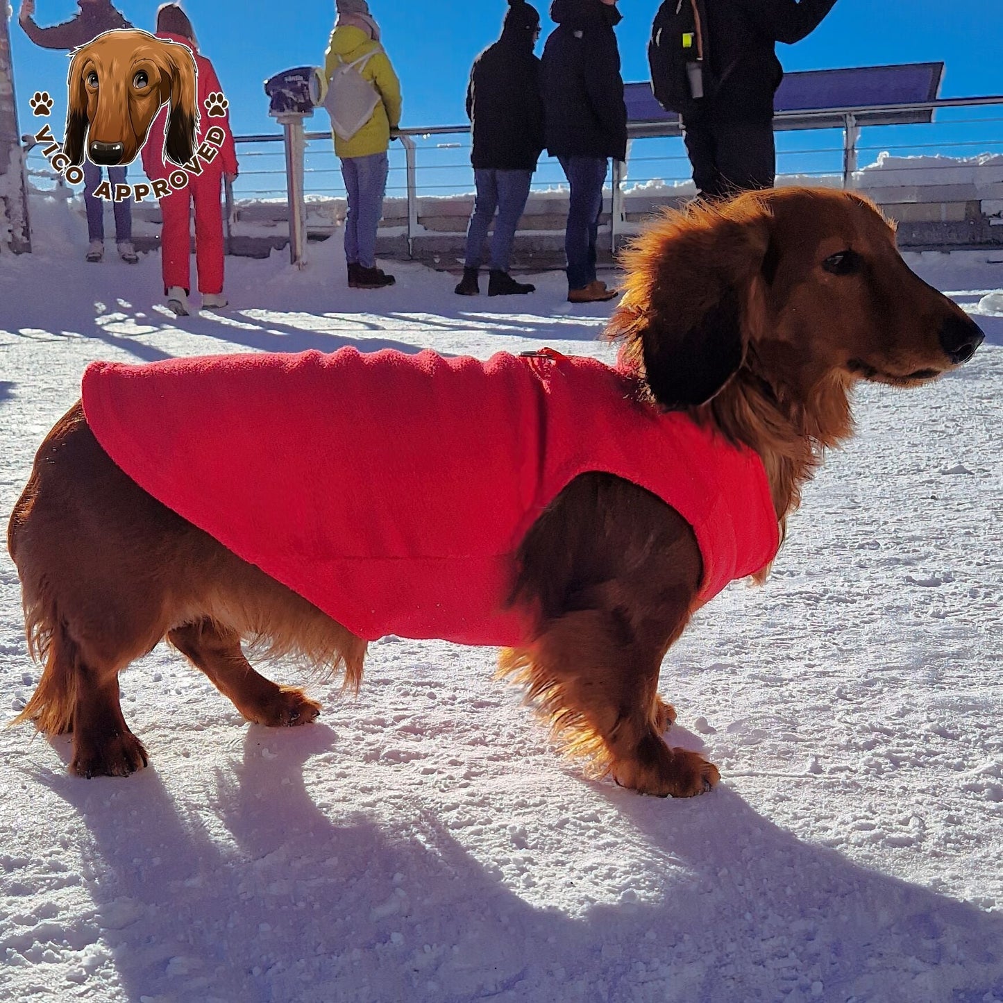Pup-Peroni Parka