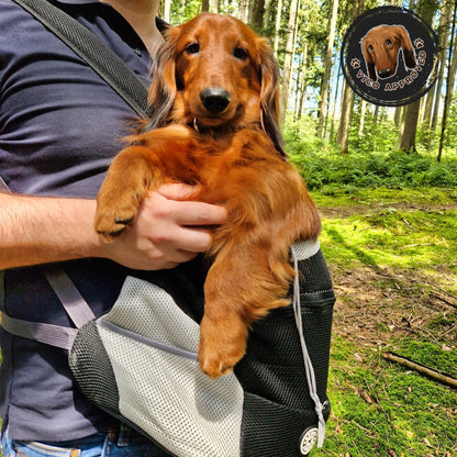 PupPal Express - Praktischer Hunderucksack