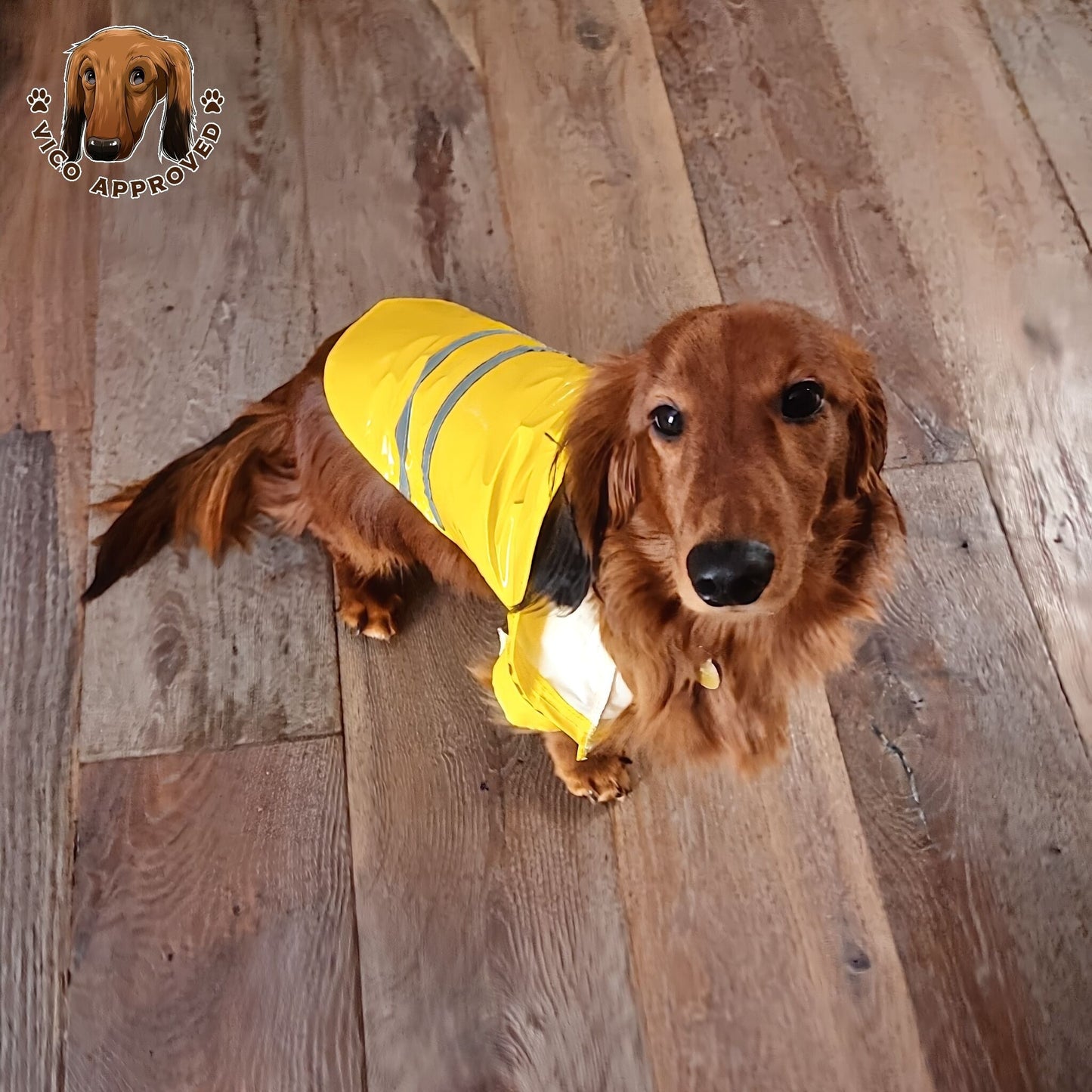 RainyPaws Poncho