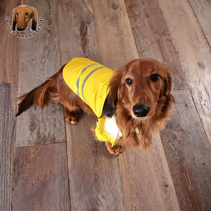 RainyPaws Poncho
