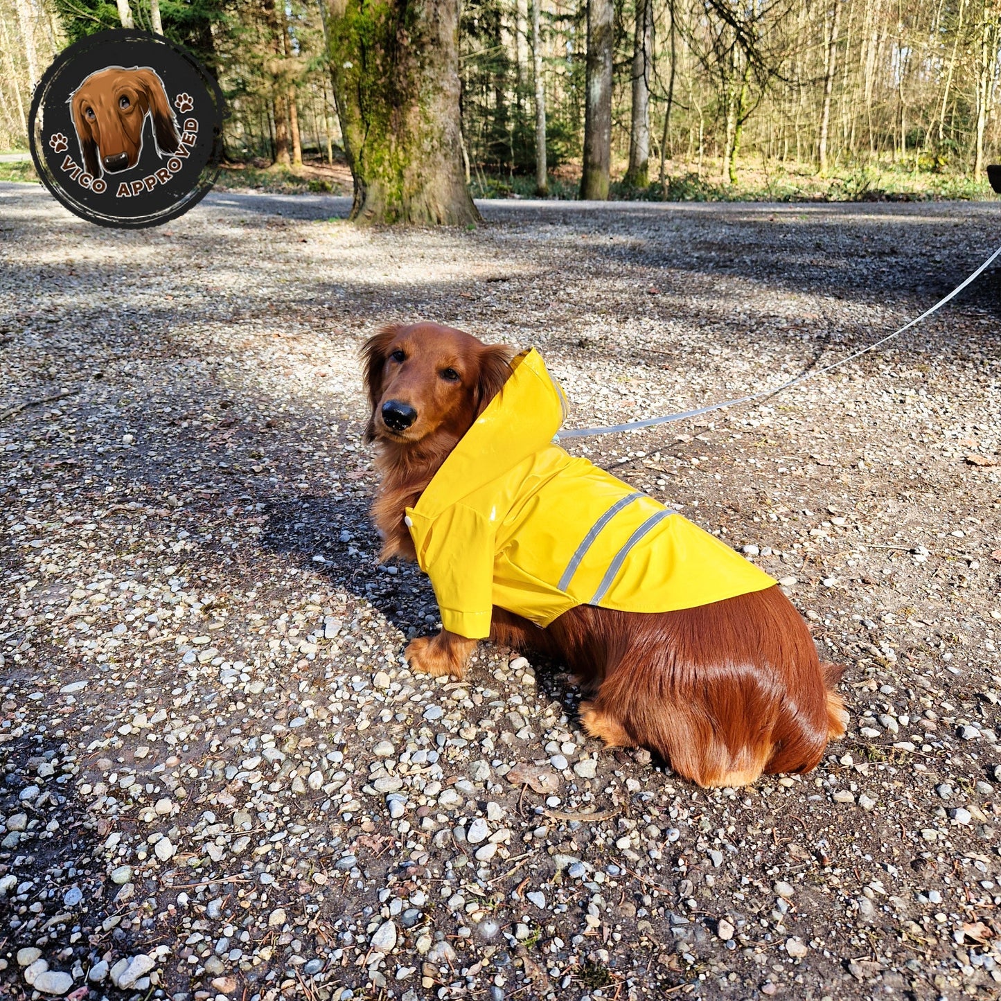 RainyPaws Poncho