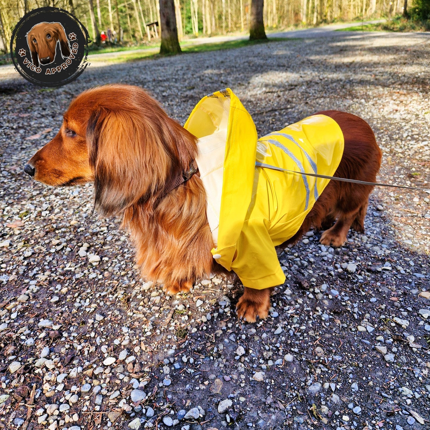 RainyPaws Poncho