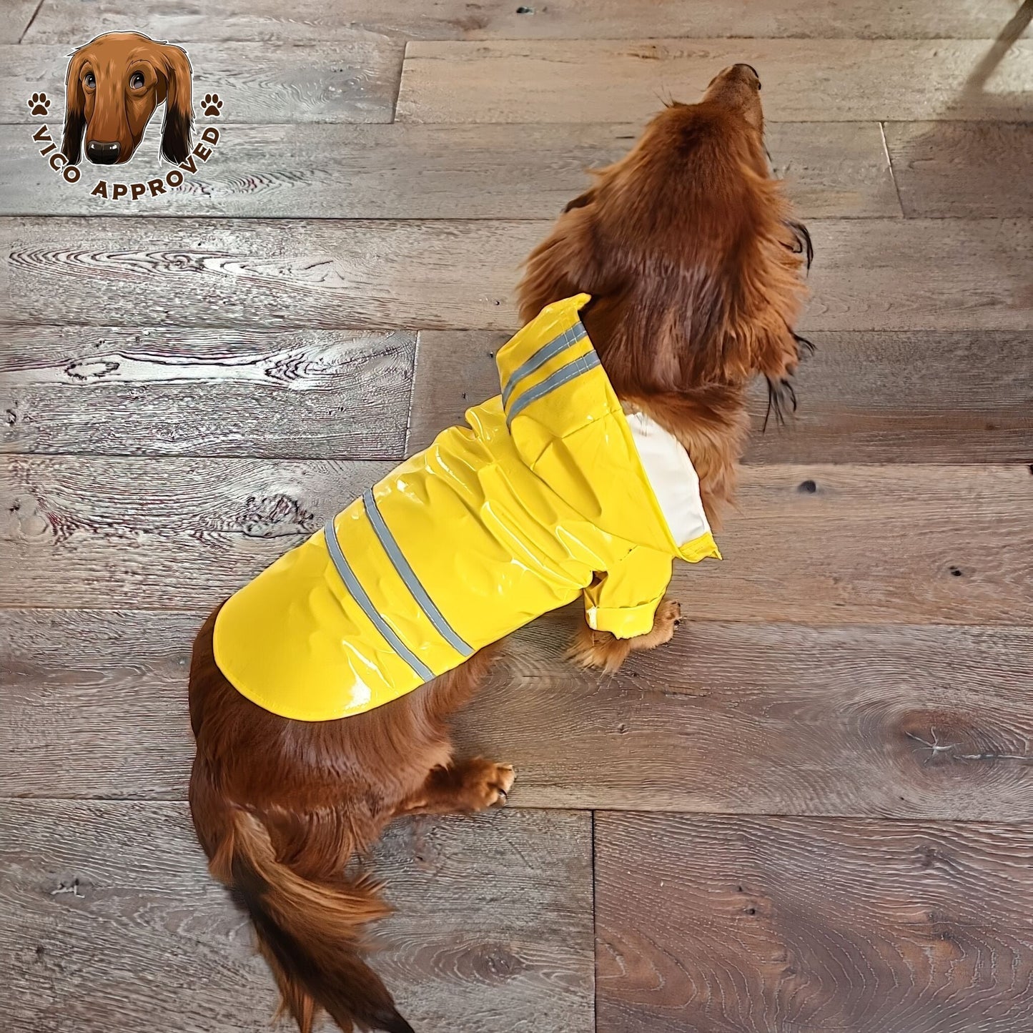 RainyPaws Poncho